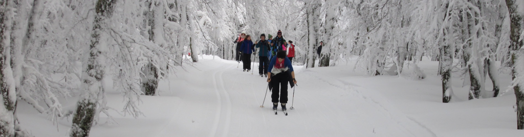 Colo de vacances hiver vosges 6/13 ans